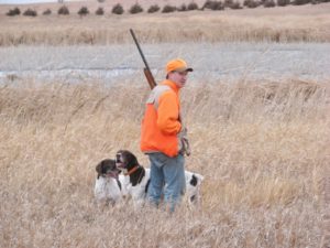 Pheasant Hunting at Prairie Hills Ranch